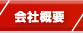 �p�`���R�A�p�`�X���̋����ЊT�v